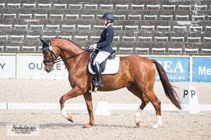 Noble Dancer