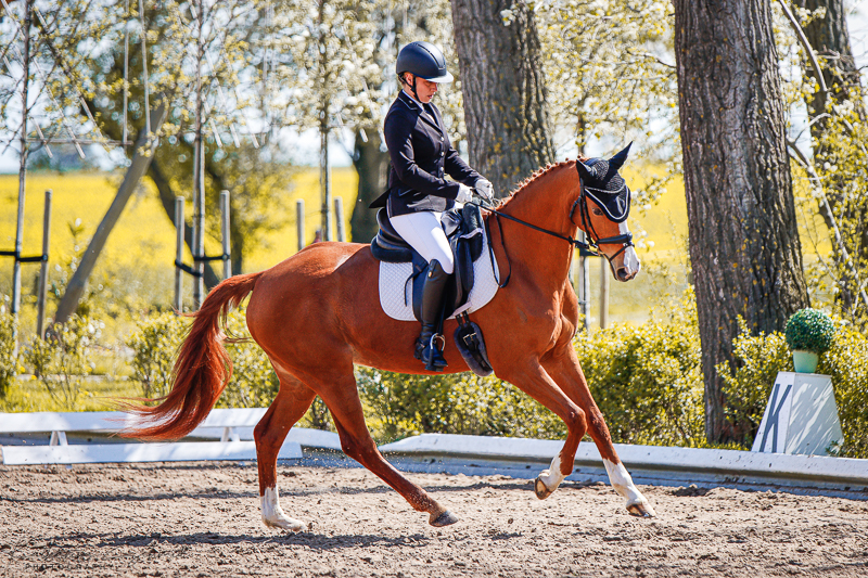 Ronja
