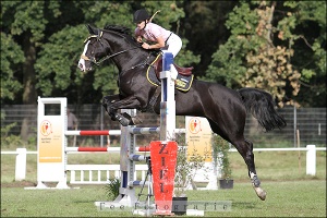 Galgenballade