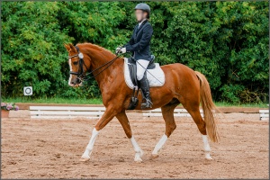 Christmas in September