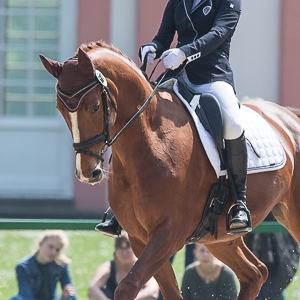  Vivien MW, Vesländer