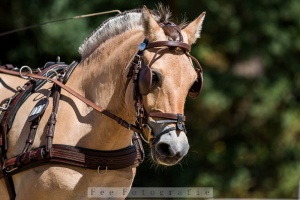 Mabaja Navadottir