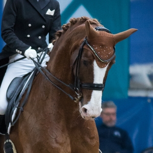  Nobelpreis RC, Hannoveraner