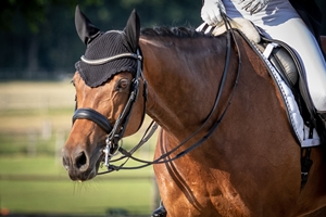 Royal Blanch