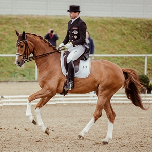  Estella MW, Vesländer