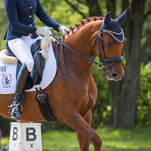  Goldenland MW, Trakehner