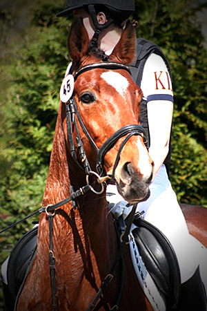 Linnea