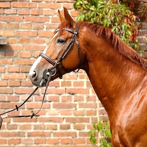 Kilian