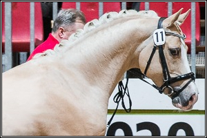 Lord Cromwell