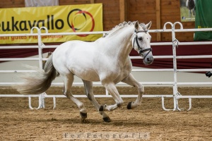 Helion