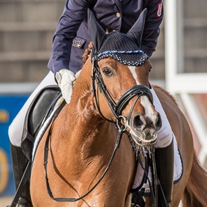 PS Beren , Vesländer Reitpony