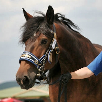 Tiziana